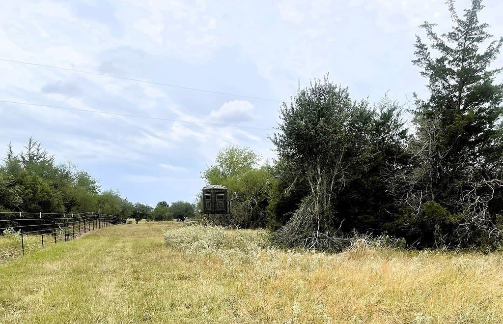 38.1 acres in Lavaca County - photo 23