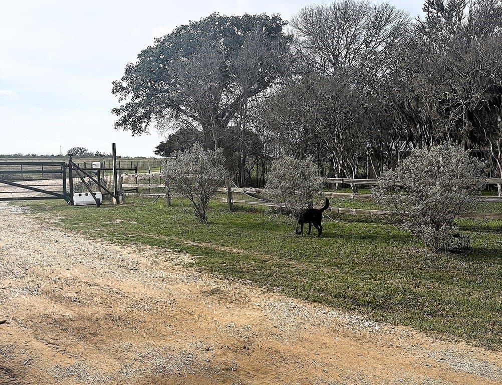 38.1 acres in Lavaca County - photo 16