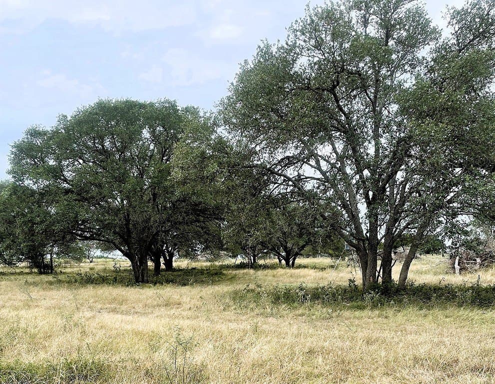 38.1 acres in Lavaca County - photo 22