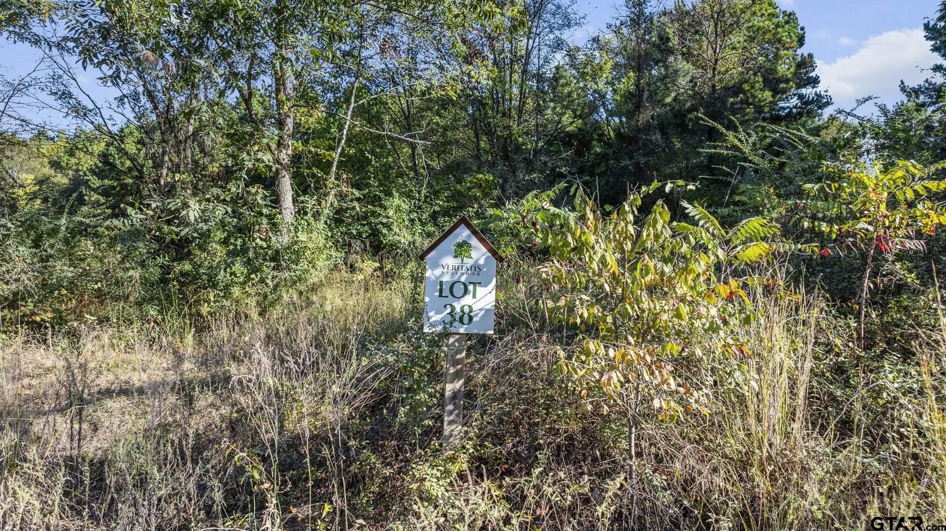 2.11 acres in Smith County gallery image 3