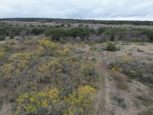 21.72 acres in McCulloch County - photo 2