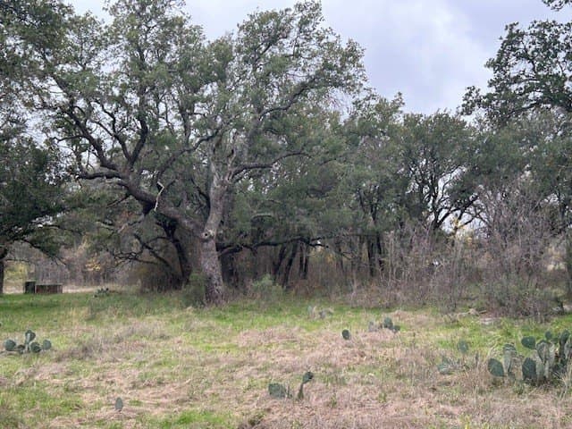 21.72 acres in McCulloch County - photo 11