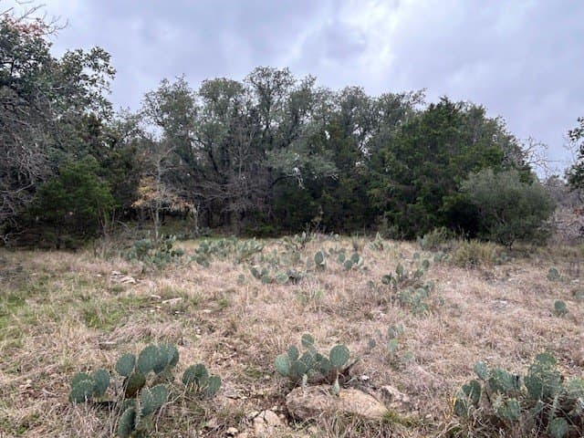21.72 acres in McCulloch County - photo 14