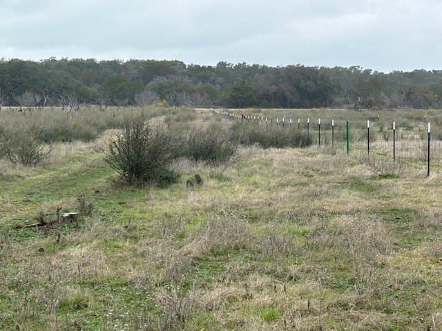 21.72 acres in McCulloch County - photo 16