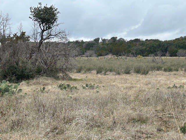 21.72 acres in McCulloch County - photo 19