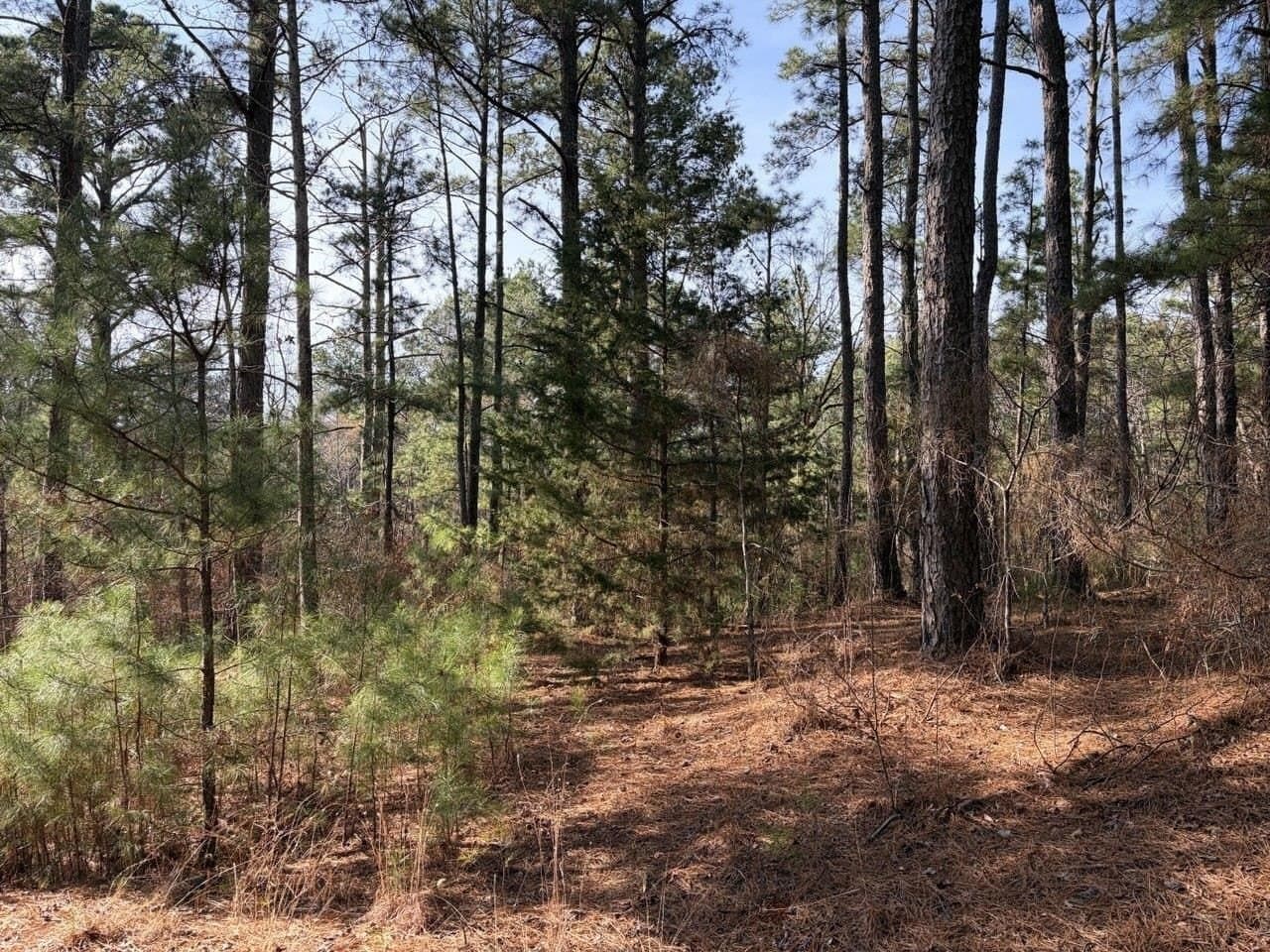 0.42 acres in Smith County - photo 6