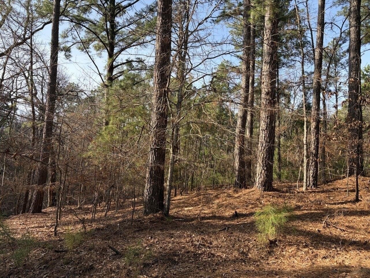 0.42 acres in Smith County - photo 7