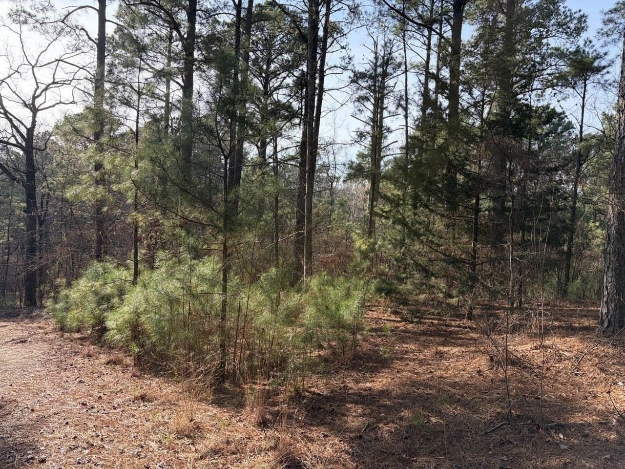 0.42 acres in Smith County - photo 8