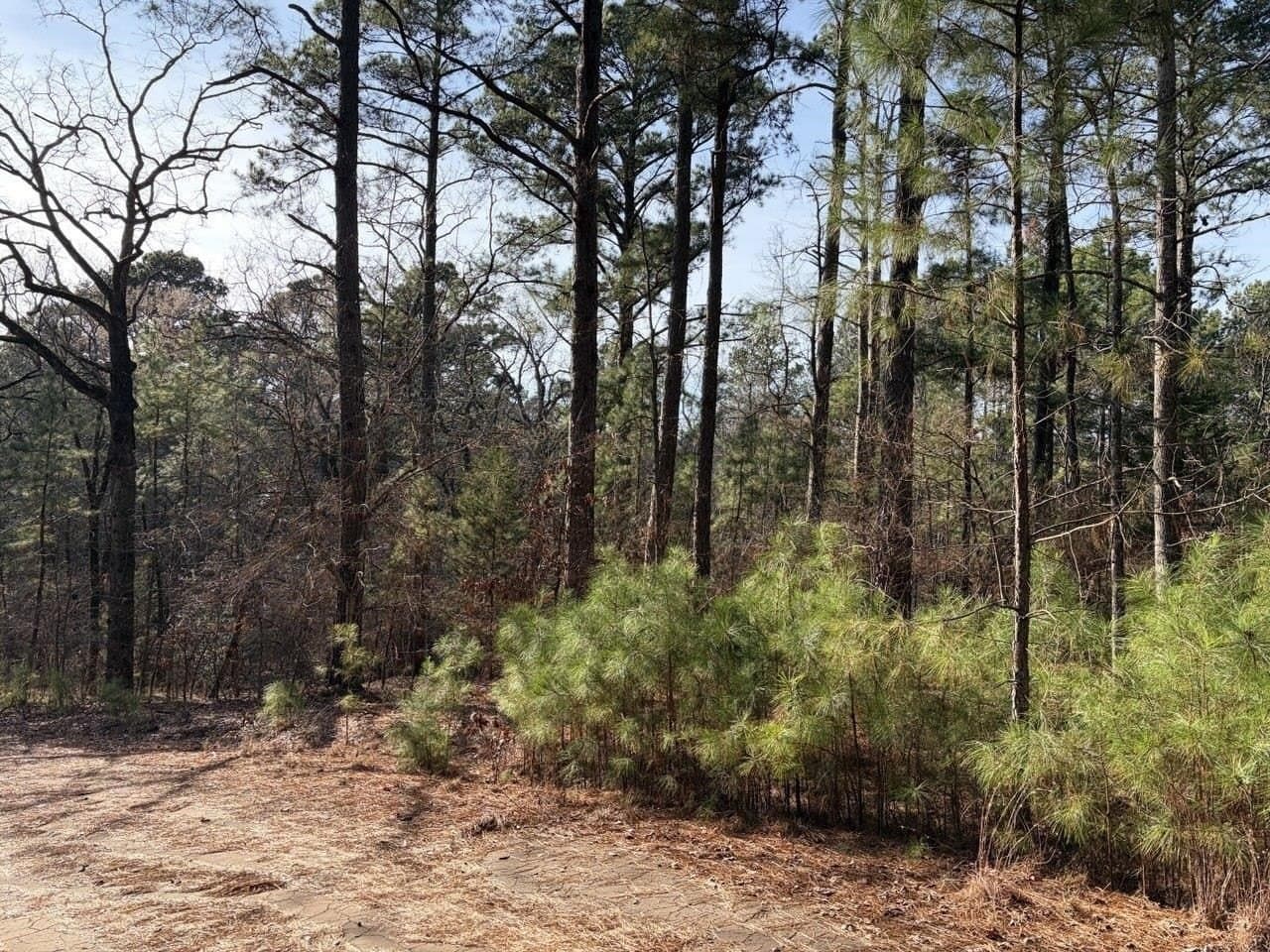 0.42 acres in Smith County