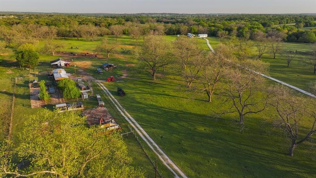 89.1 acres in Montague County gallery image 3