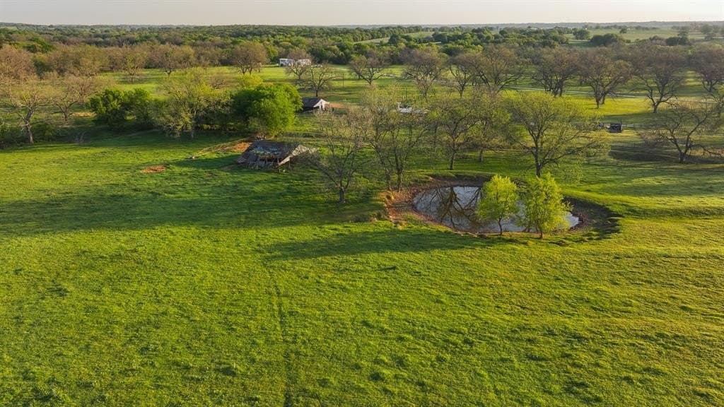 89.1 acres in Montague County gallery image 4