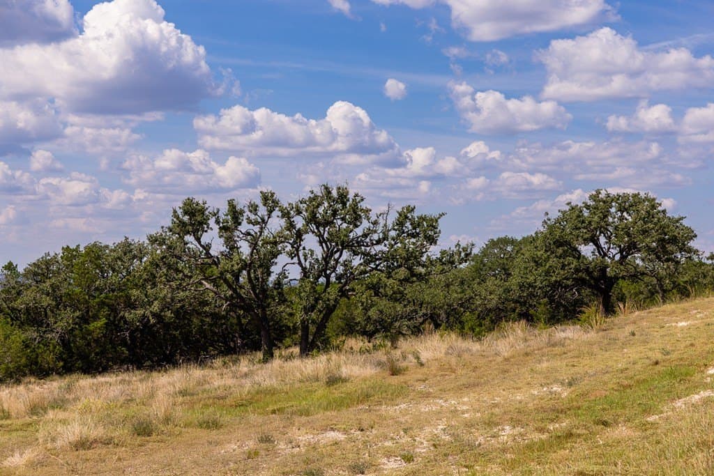 12.43 acres in Kerr County - photo 17