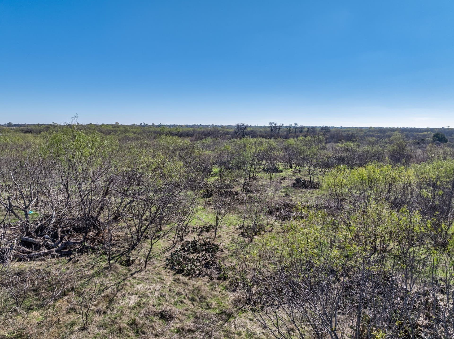 19.68 acres in Palo Pinto County - photo 15
