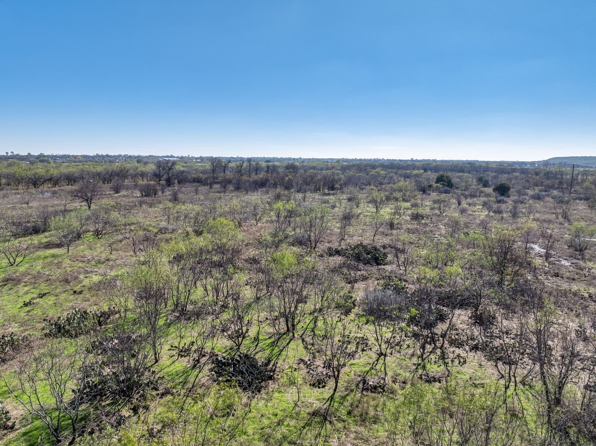19.68 acres in Palo Pinto County - photo 16