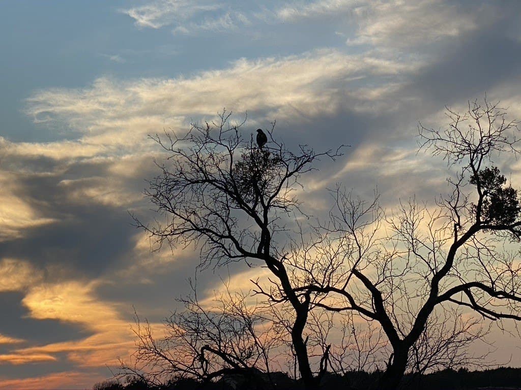 1.01 acres in Palo Pinto County - photo 11