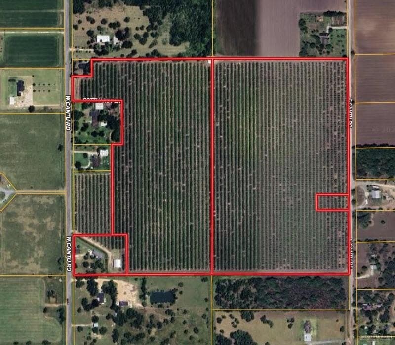 51.92 acres in Cameron County - photo 2
