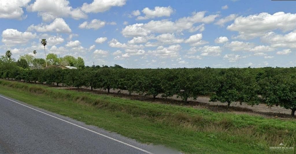 51.92 acres in Cameron County - photo 3