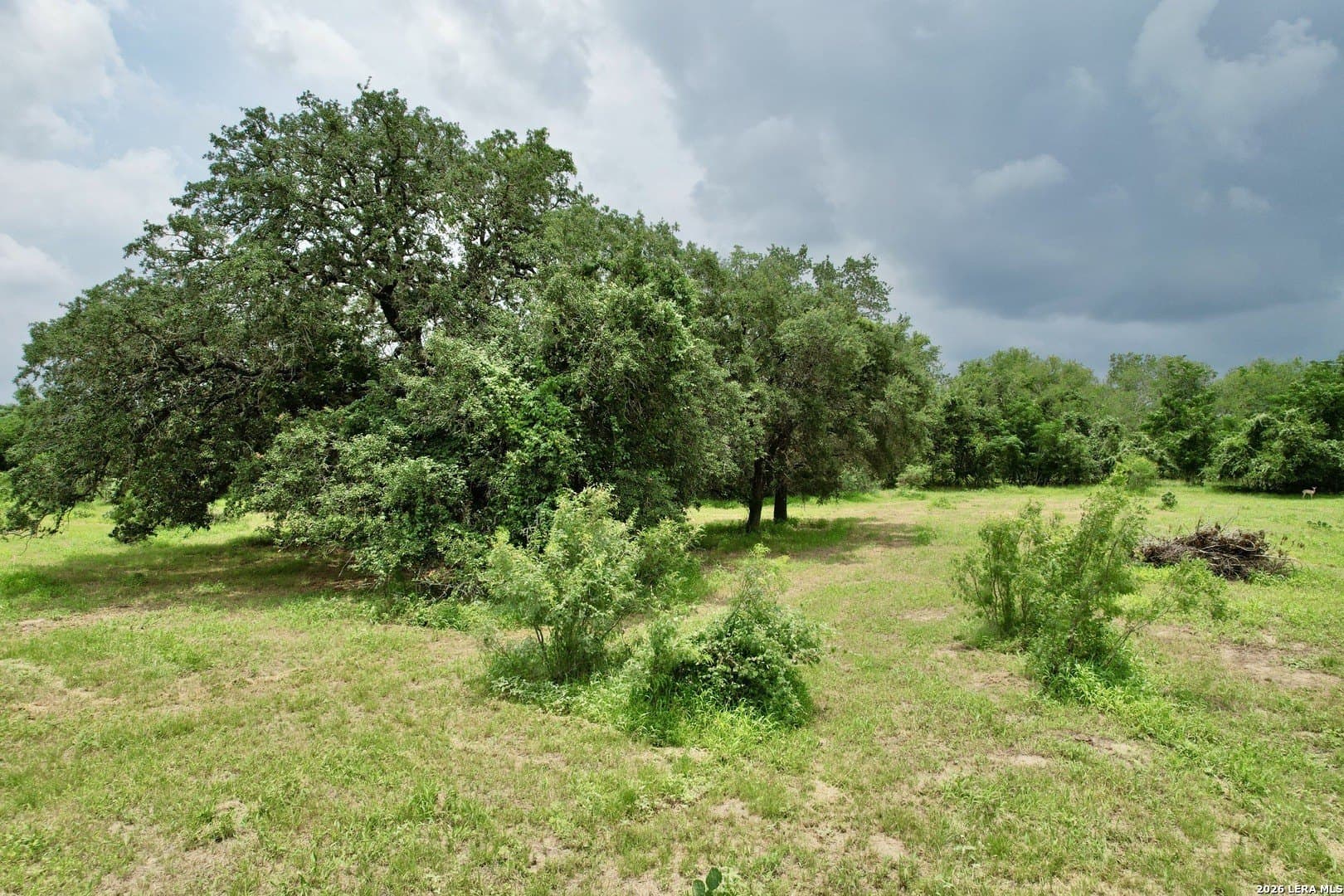 3.11 acres in Atascosa County gallery image 3