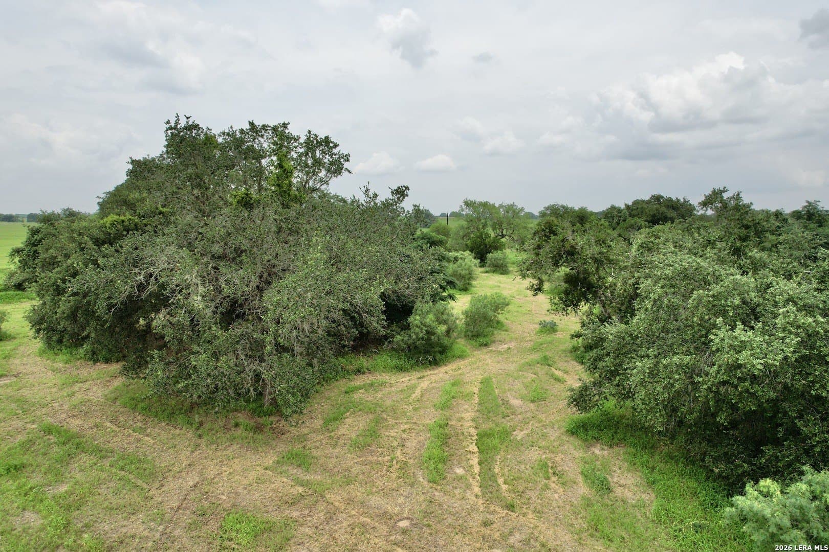 3.11 acres in Atascosa County featured view