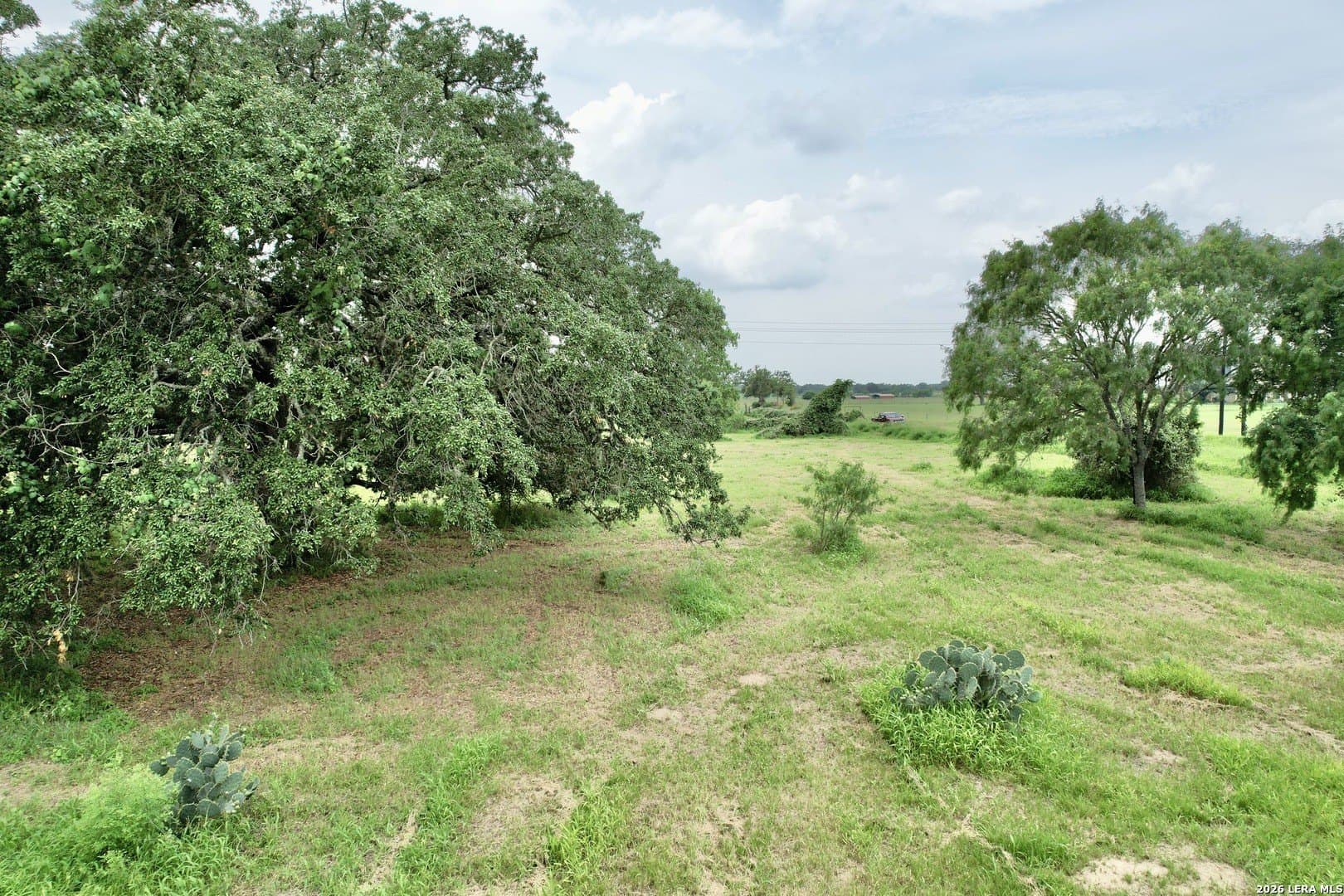 3.11 acres in Atascosa County gallery image 4