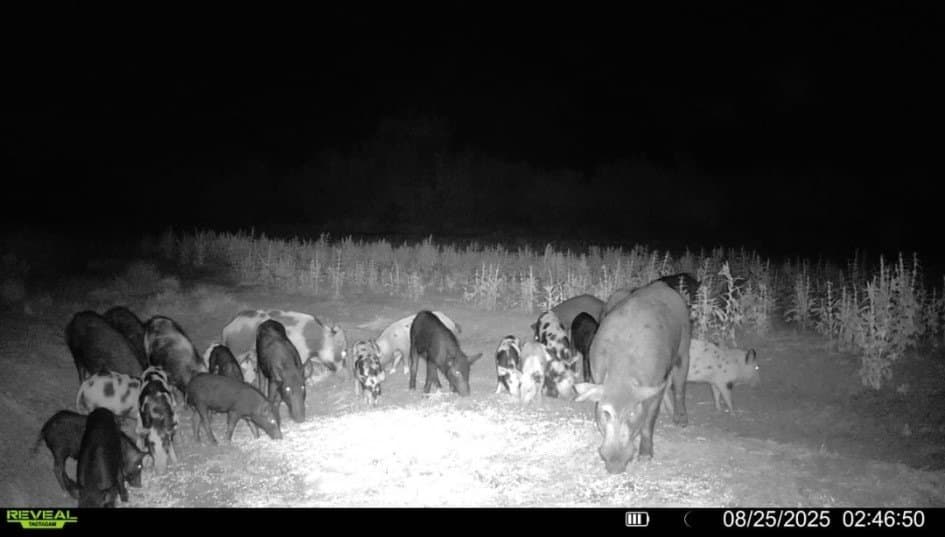 124.21 acres in Jim Wells County - photo 12