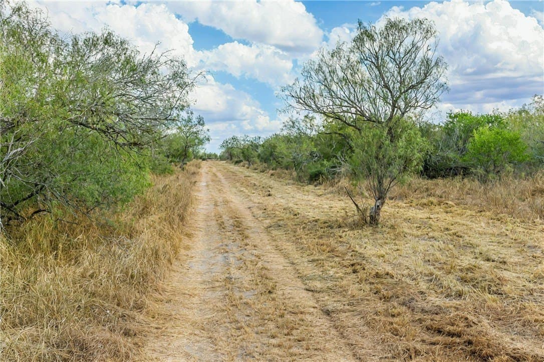 124.21 acres in Jim Wells County - photo 6