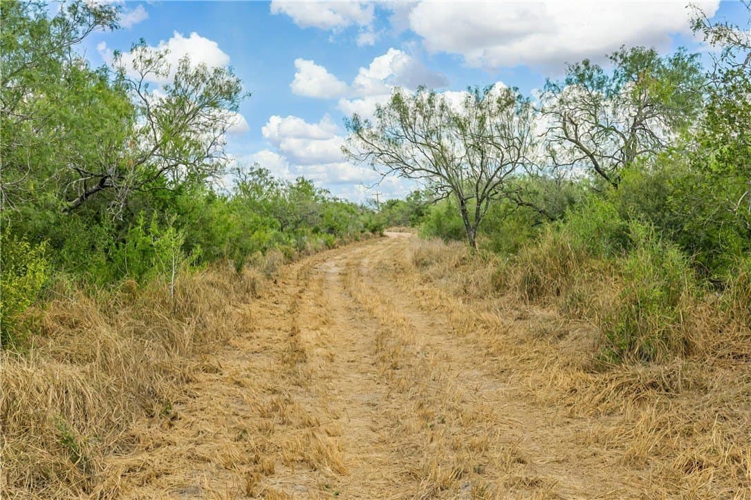 124.21 acres in Jim Wells County featured view