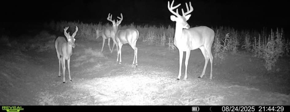 124.21 acres in Jim Wells County - photo 11