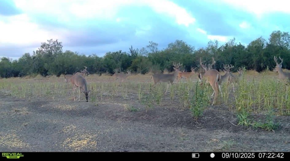 124.21 acres in Jim Wells County - photo 9