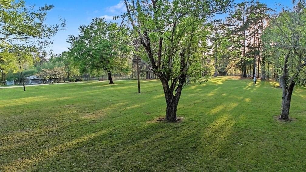 13.5 acres in Texas County