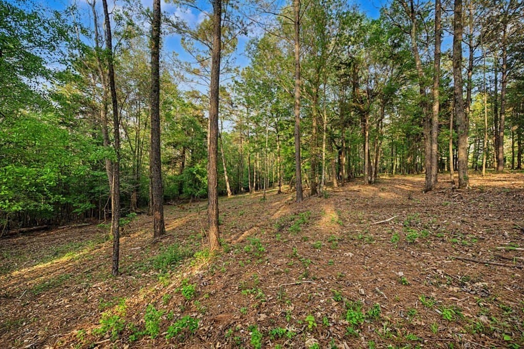 13.5 acres in Texas County featured view