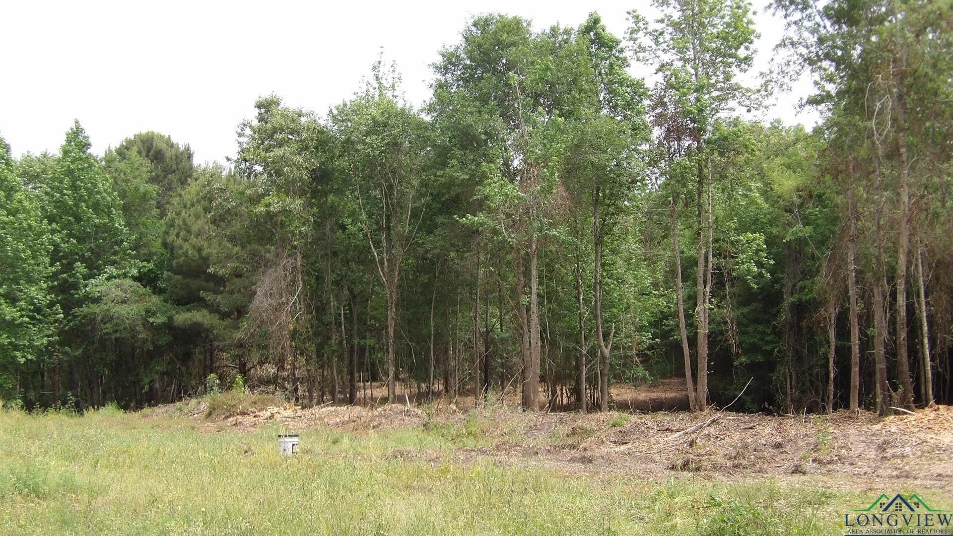 13 acres in Harrison County gallery image 2