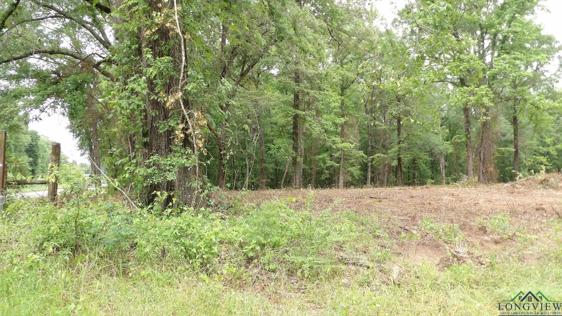 13 acres in Harrison County featured view