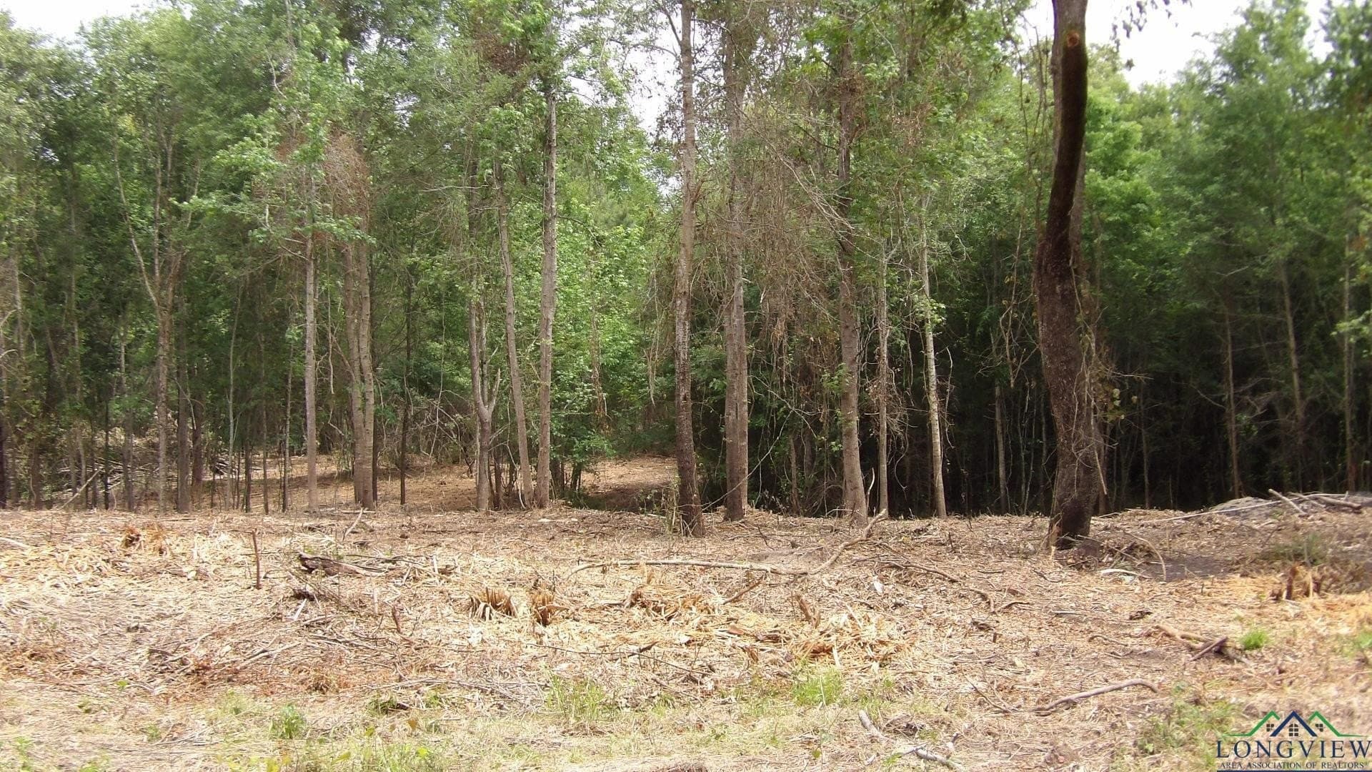 13 acres in Harrison County