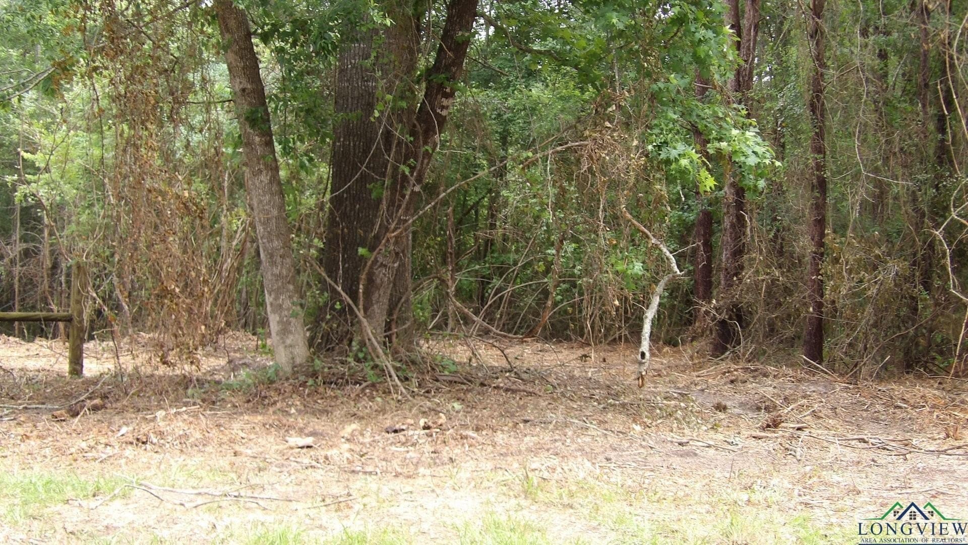 13 acres in Harrison County gallery image 4