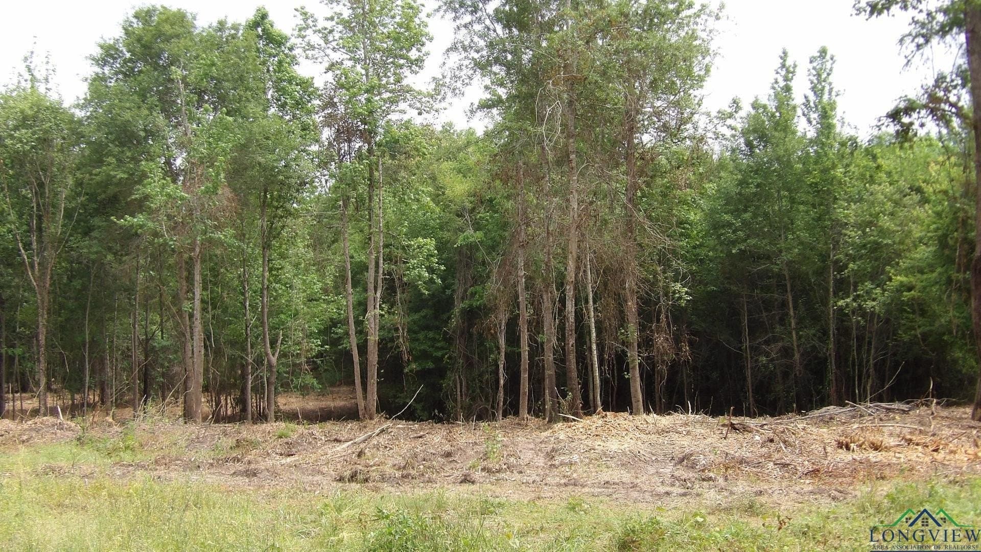 13 acres in Harrison County gallery image 3
