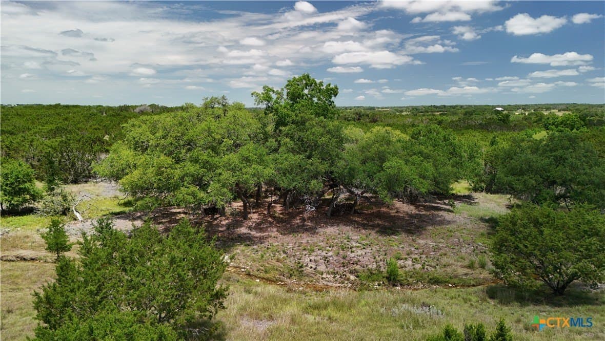 7.27 acres in Burnet County gallery image 3
