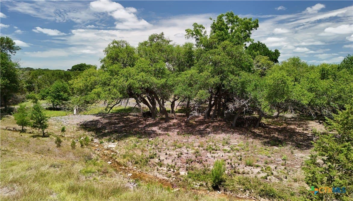 7.27 acres in Burnet County gallery image 2