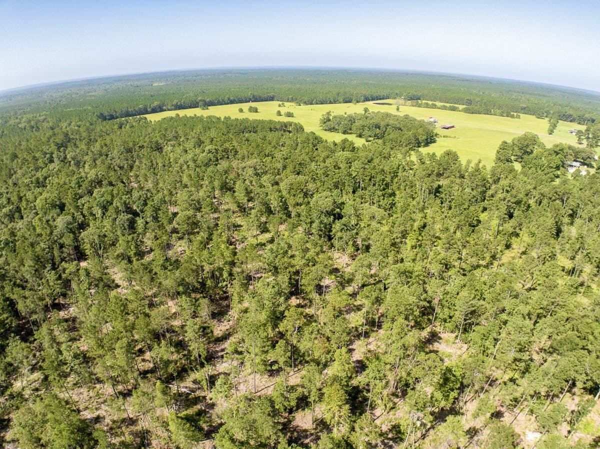 187 acres in Angelina County - photo 37