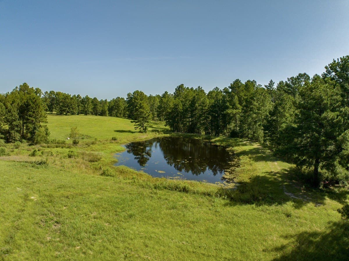 187 acres in Angelina County - photo 35