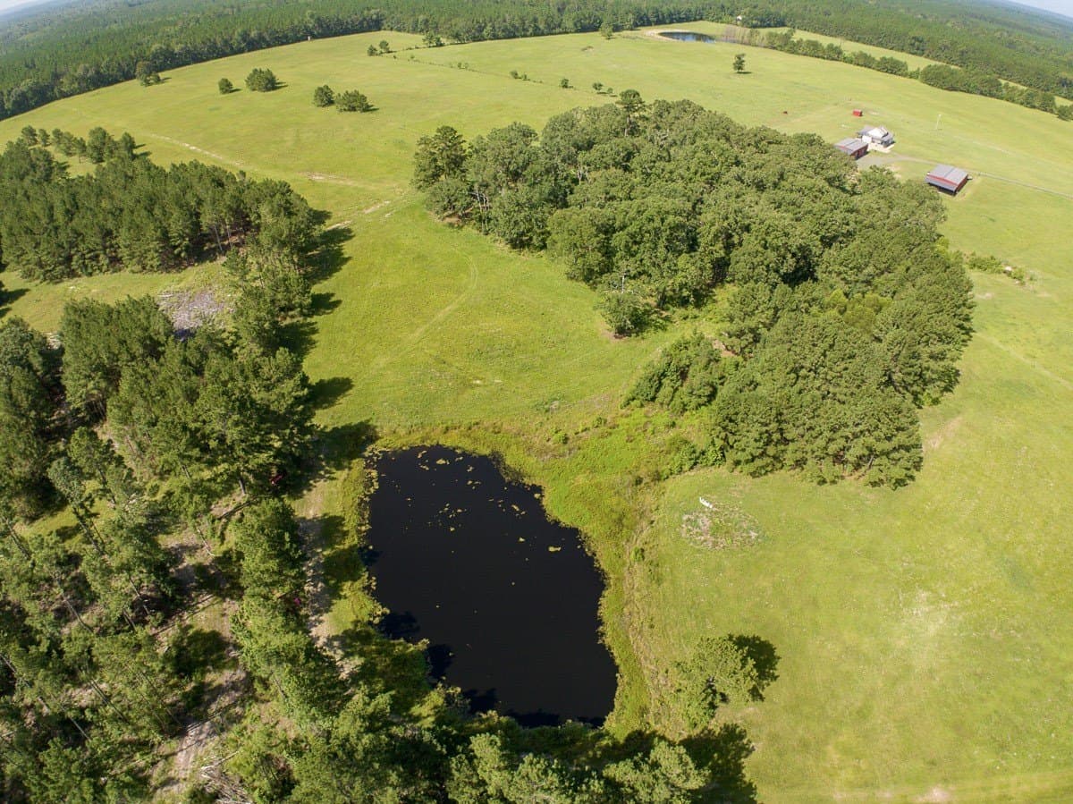 187 acres in Angelina County - photo 39