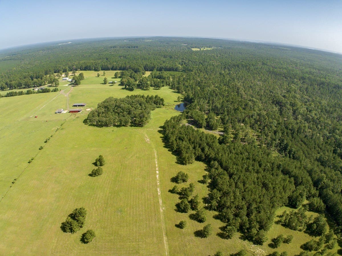 187 acres in Angelina County - photo 36