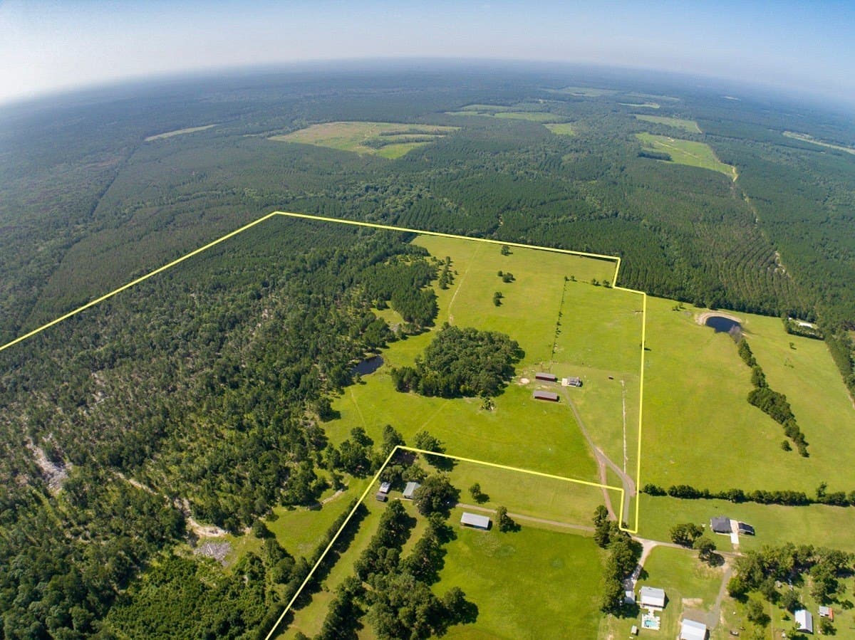 187 acres in Angelina County - photo 33