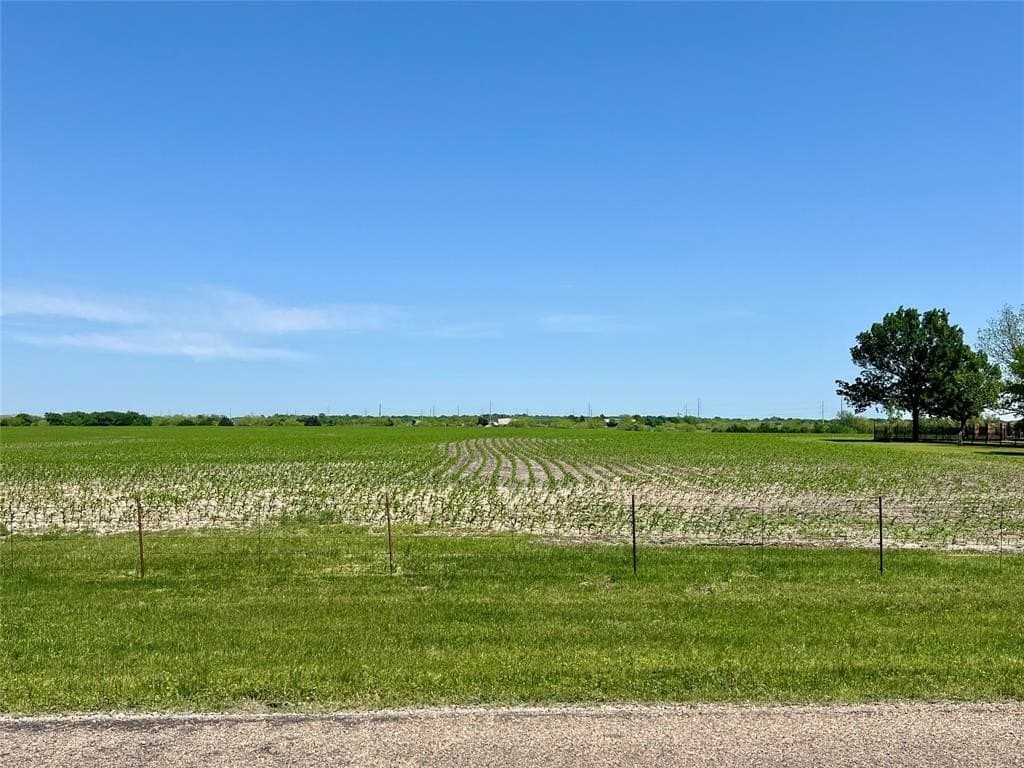 11.5 acres in Ellis County gallery image 4