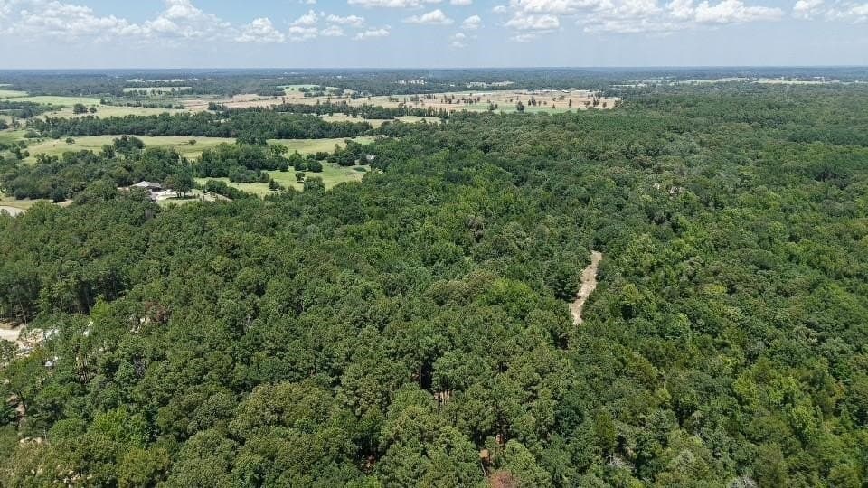 10.53 acres in Van Zandt County - photo 7