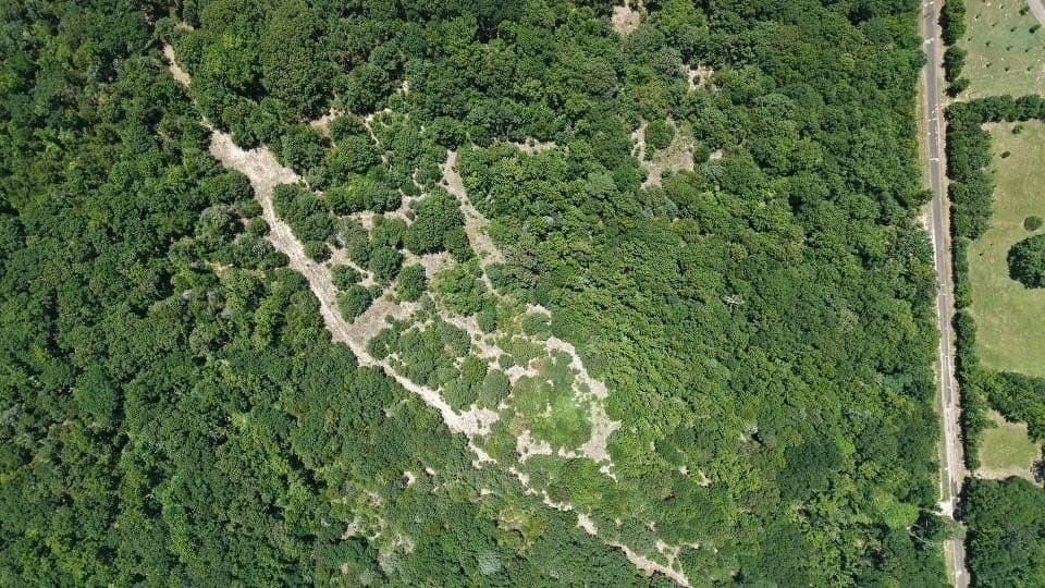 10.53 acres in Van Zandt County - photo 12
