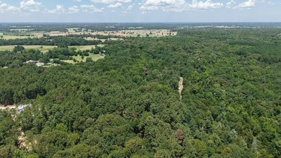 10.53 acres in Van Zandt County - photo 8
