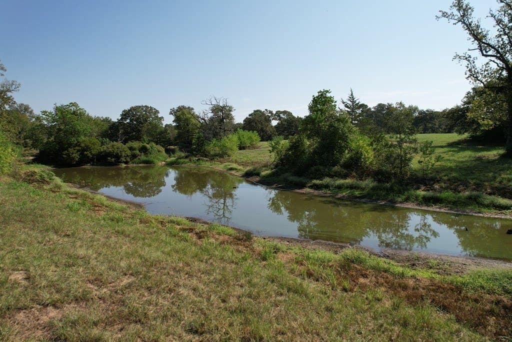 52.9 acres in Texas County featured view