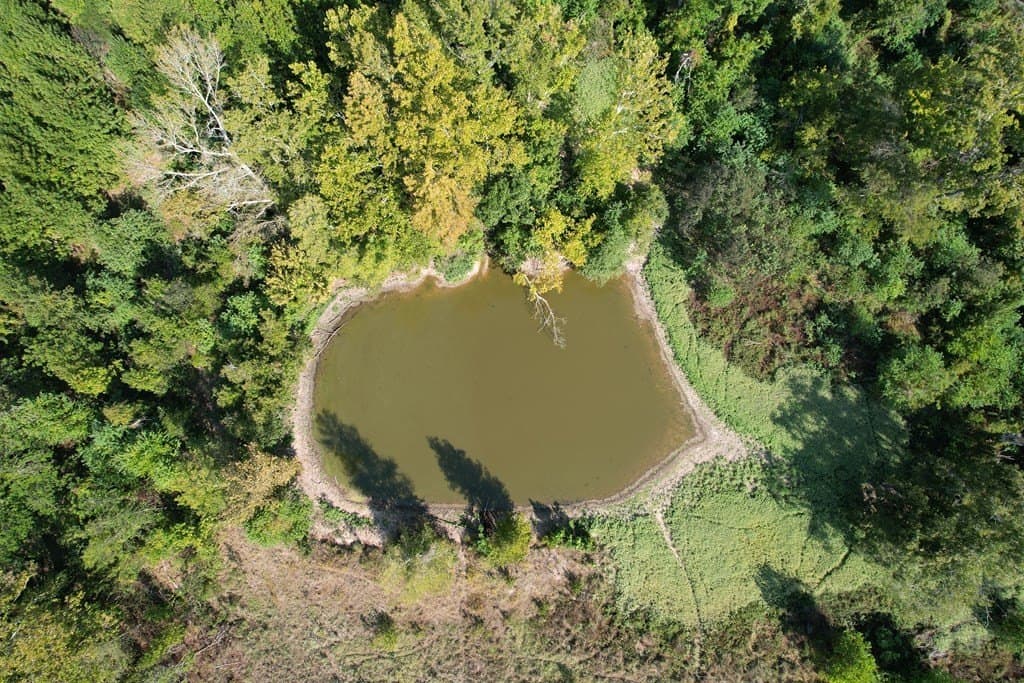 52.9 acres in Texas County - photo 8