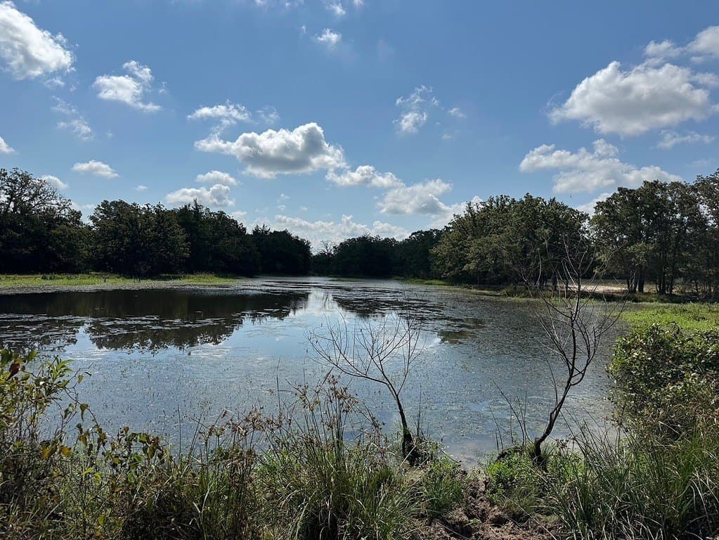35.59 acres in Washington County - photo 10